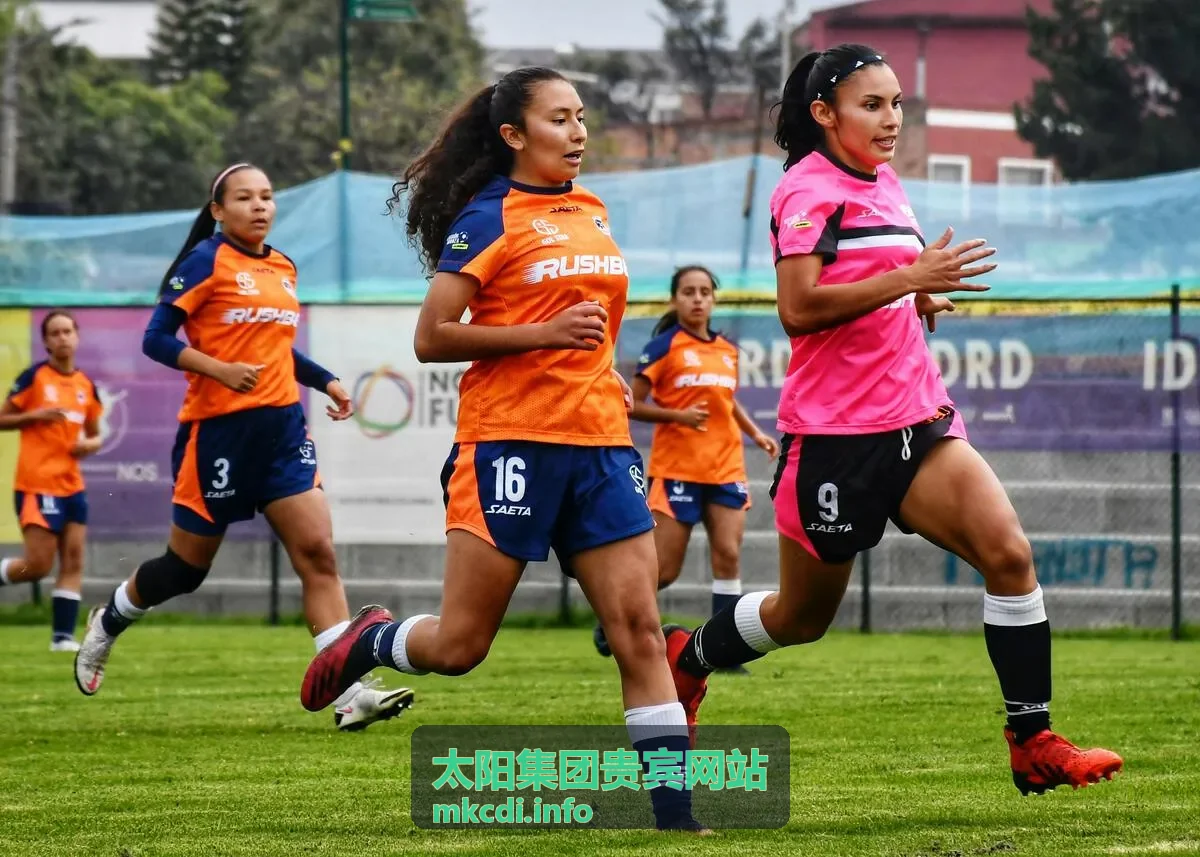 太阳集团贵宾网站贵宾服务指南
